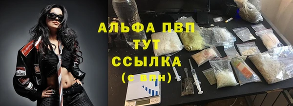 индика Новодвинск