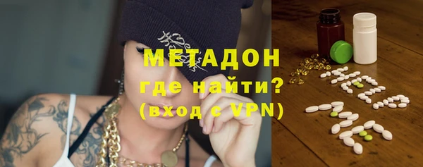 индика Новодвинск