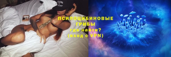 индика Новодвинск