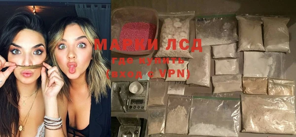 индика Новодвинск