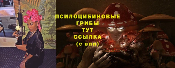 винт Нея