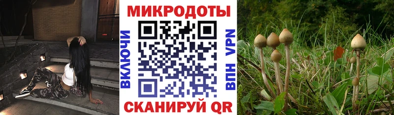 наркотики ОМГ ОМГ онион площадка состав Сергач Галлюциногенные грибы Psilocybe